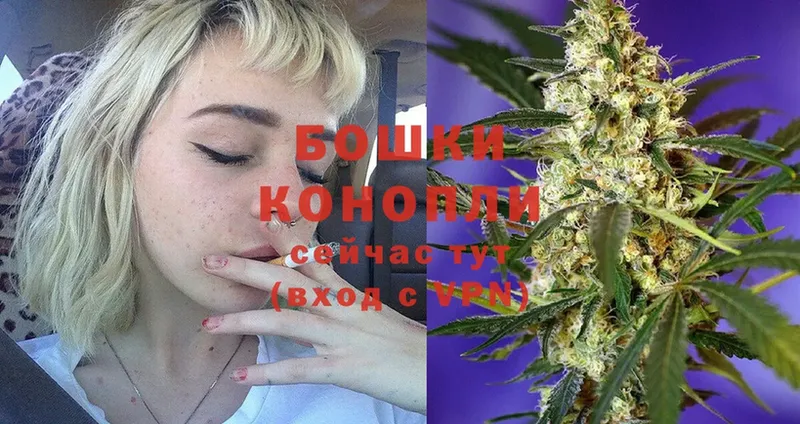 Бошки марихуана THC 21%  Североуральск 